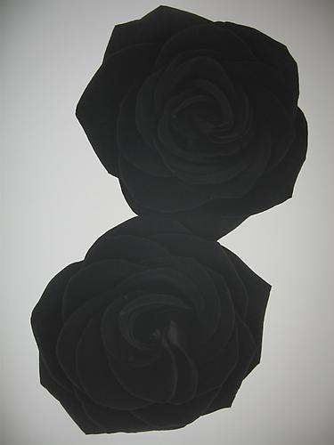 Rosa 'Cavalho'
2004
sepia-toned gelatin silver print