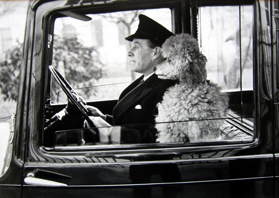 La Dolce Vita, Knightsbridge, London
1953
gelatin silver print