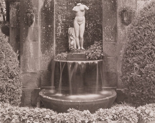 Torso & Fountain, Palagio Floentino-Stia
1998
Platinum/palladium