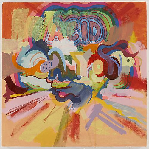 Acid Canyon, 2009 
Acrylic on canvas
18 x 18 inches