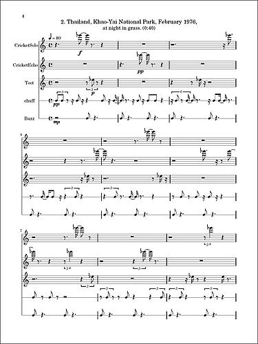 Cricket Symphony