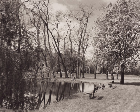 Pond, Trees, & Ducks, Villa Louis, Prairie Du Chein, Wisconsin
2002
Platinum Palladium