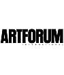 Paola Noe, Artforum, February 2009
