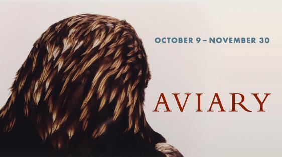 Aviary