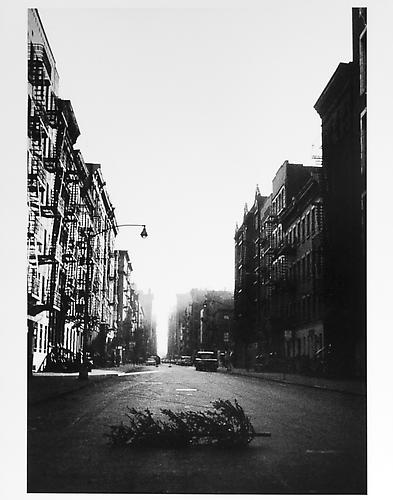 Christmas tree abandoned in street 
mid 1950s
Gelatin Silver Print