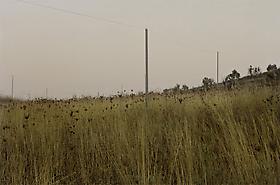 Daniel Bauer in Israel: Gated Community