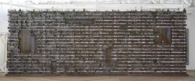 Bilboard 2011
Corten steel and succulents
88 x 360 x 4 in / 223.5 x 914 x 10 cm
