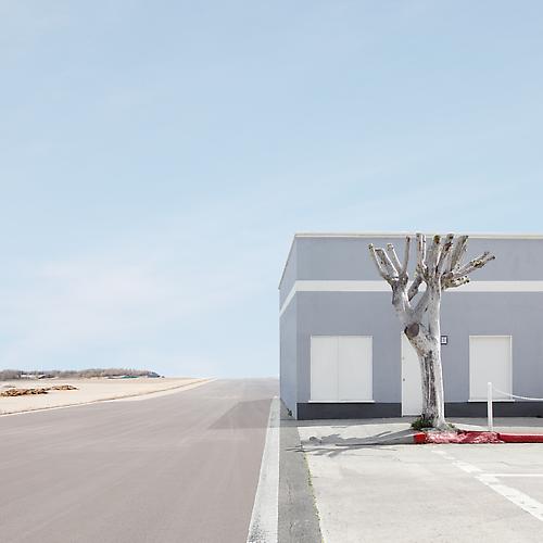 Building and Tree, 2010
HP archival ink (200 years+) on HP archival paper inkjet prints
44 x 44 inches; also available 30 x 30 inches