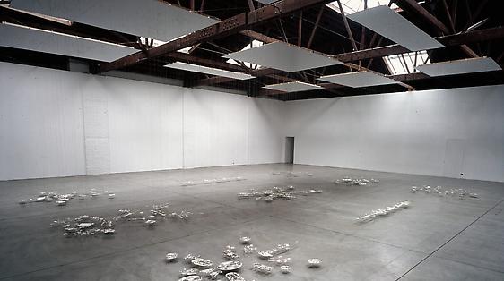 Cornelia Parker