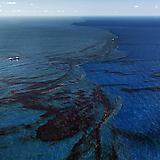 EDWARD BURTYNSKY