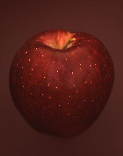 Malus Domestica 'Red Delicious'
2007
pigment print