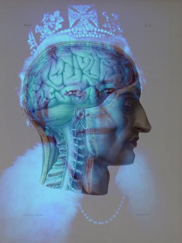 ANATOMY OF A DIAMOND JUBILEE: ELIZABETH | ULTRACHROMIUM PRINT | 36 X 27 INCHES | 2012