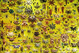 Christopher Adams' 600+ ceramic piece installation at the Greenwich House -
