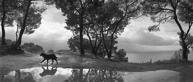 Cilento, Italy
1999
gelatin silver print