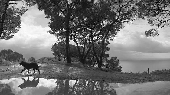 Pentti Sammallahti