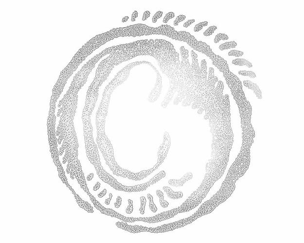 Cira Crowell
Seed of Light, 2009
Lumenographic print on Torinko White Washi Japanese scroll paper
Limited edition of 2