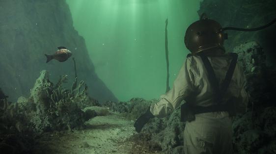 Beneath the Sea