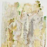 Julie Robinson