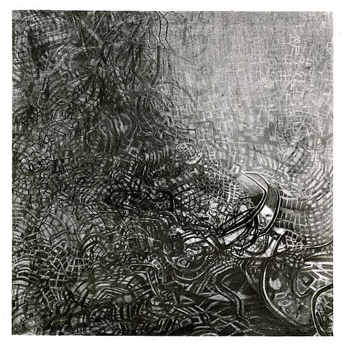 Fuyu #1, 2012
Graphite on bristol
13 x 13 inches