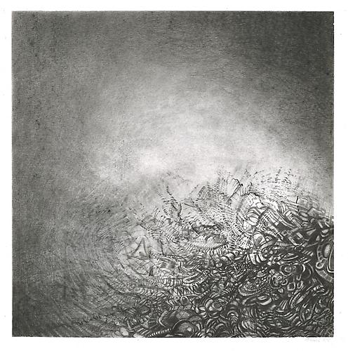 Fuyu #2, 2012
Graphite on bristol
13 x 13 inches