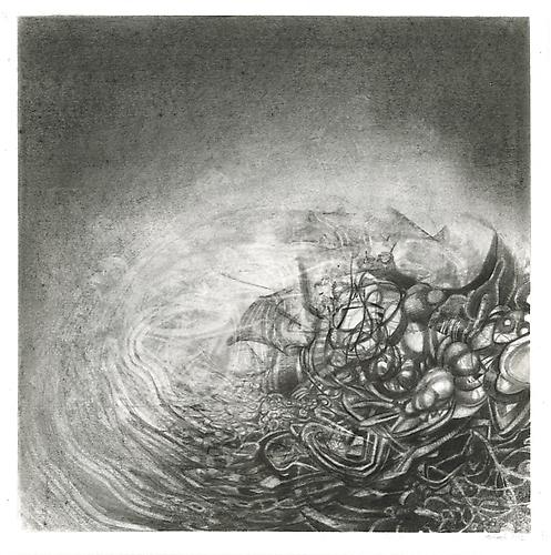 Fuyu #3, 2012
Graphite on bristol
13 x 13 inches