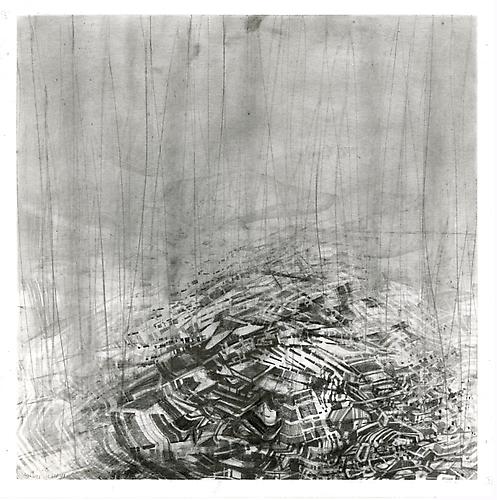 Fuyu #4, 2012
Graphite on bristol
13 x 13 inches