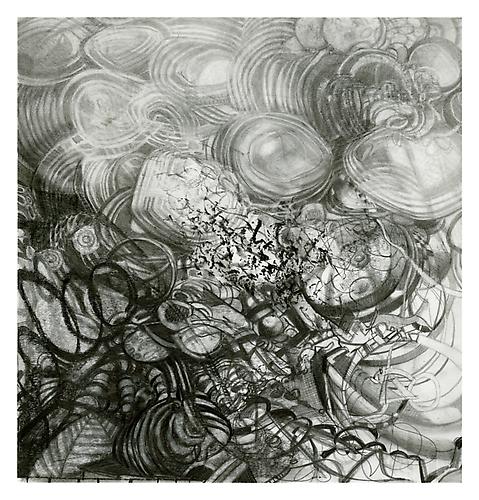 Fly sleeping #3, 2011
Graphite on bristol
13.5 x 13 inches