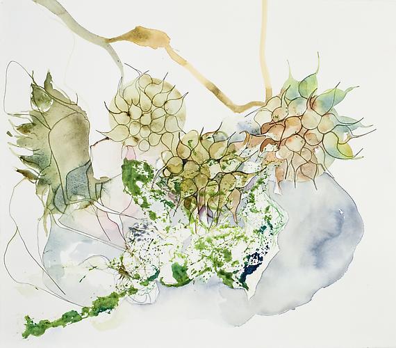 Emilie Clark, Untitled (EHR 31) from Sweet Corruptions (2011)
Watercolor On Paper
15.5h x 16.5w in