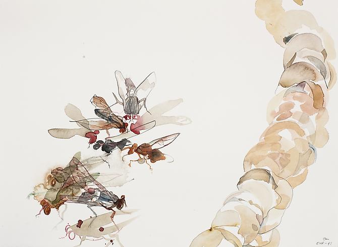 Emilie Clark, Untitled (EHR 41) from Sweet Corruptions (2012)
Watercolor, Graphite  On Paper
15h x 22w in