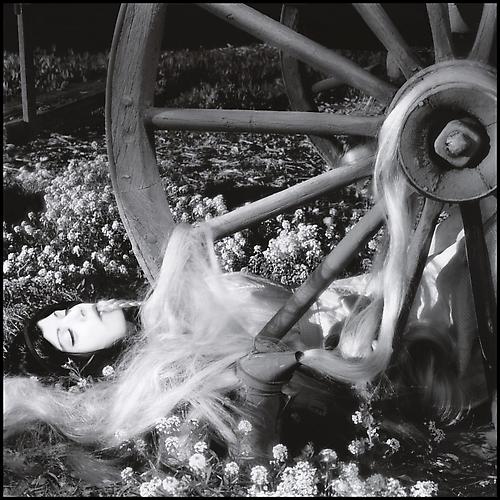 Epistatic Key, 2008
Chromogenic Print (Kodak metallic paper, mounted to dibond)
Edition of 7
29.25 x 29.25 inches