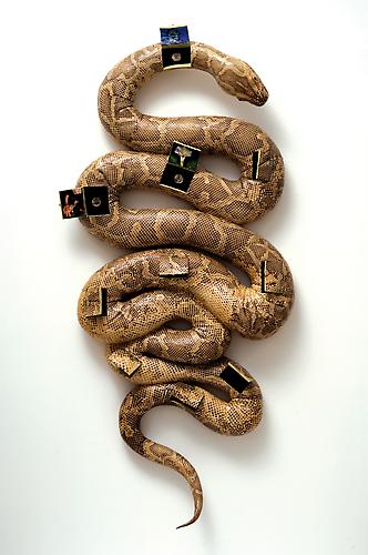 Erika Wanenmacher 'Shining Path', 2007 wood, shed python skin, silver, oil paint & strontium aluminate 77 x 36 x 10 inches