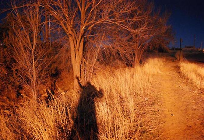 Erika Wanenmacher 'Witch', 2010 pigment print