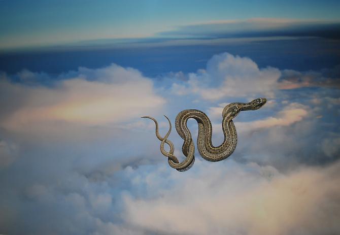 Erika Wanenmacher 'Come to Your Senses', 2010 gouache on digital photographic print 40 x 60 inches