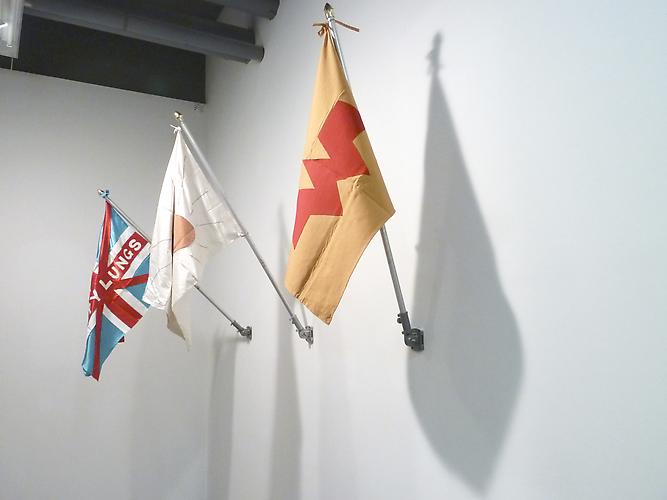 Eunah Kim
 Happy Lung Flags , 2009
mixed media
dimensions variable