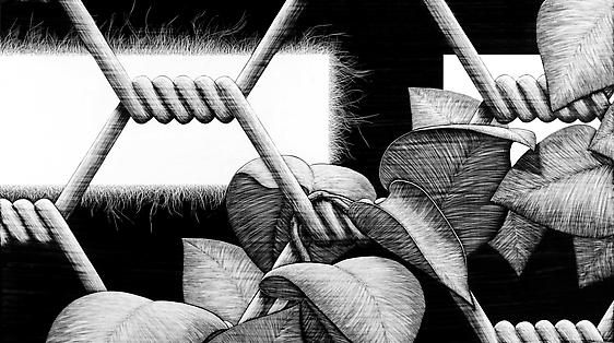 David Trulli : EVENT HORIZON