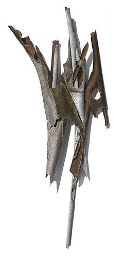 Fallen Bark Series #3, 2011
Colored pencil on paper
36 x 17 1/2 inches