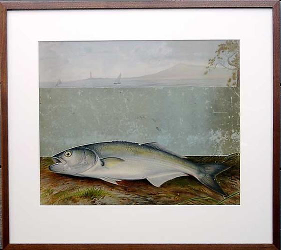 Varujan Boghosian, 2006
 The Fish for Elizabeth Bishop , collage
25" x 21.5"