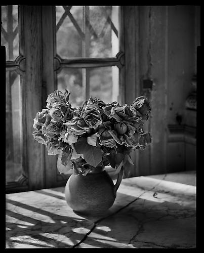 Madame Simon Residence, Paris, France
2003
platinum/palladium