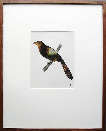 Varujan Boghosian, 2006
 For Audubon , collage
8.75" x 7.75"