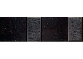 "Charles Gaines: In the Shadows of Numbers"