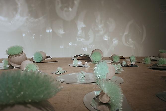 Geodes (detail), 2010
silicone, cement, reflections, mirrored Plexiglas and mylar
dimensions variable