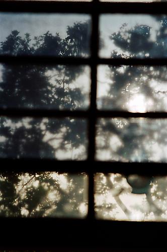 Andrew George
Beverly Hills (blue), 1997
C-print
48 x 32 inches