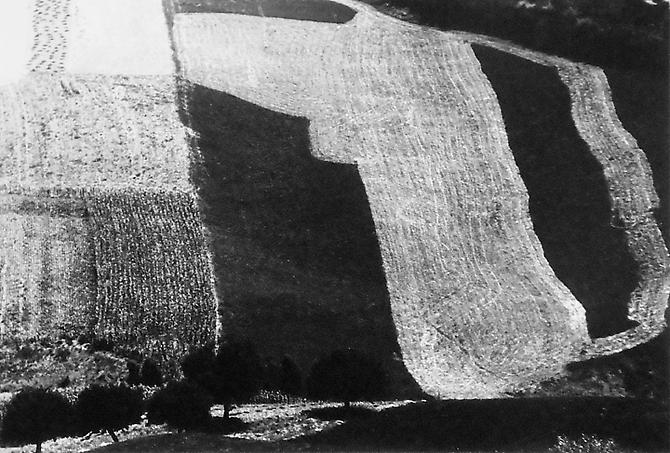 Presa di coscienza sulla natura
1945-2000
gelatin silver print