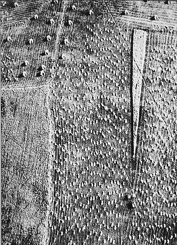 Presa di coscienza sulla natura
1954-2000
gelatin silver print