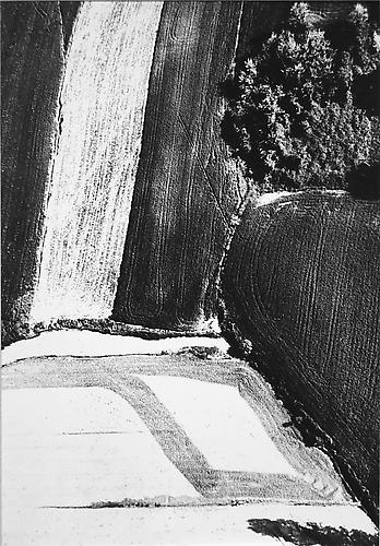 Presa di coscienza sulla natura
1954-2000
gelatin silver print
