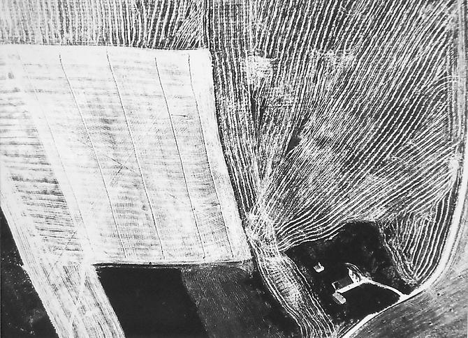 Presa di coscienza sulla natura
1954-2000
gelatin silver print
