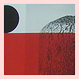 Wade Guyton