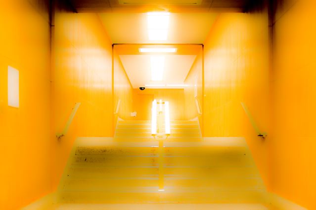 Hall of Administration 2, 2008
from 'Incidence & Reflection' 
pigment print