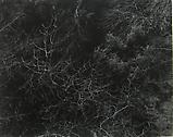 Harry Callahan