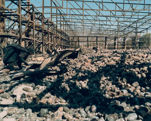 Baghdad (Tylosin Gleaners), 2003								
Chromogenic print	
30 x 35 inches
Number 1/3